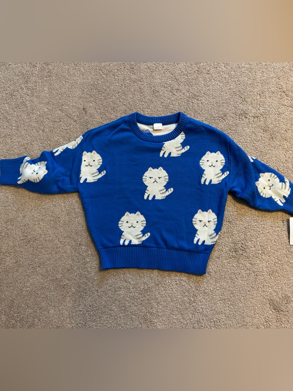 Otter Avenue Toddler Girl Pullover Sweater (2T)